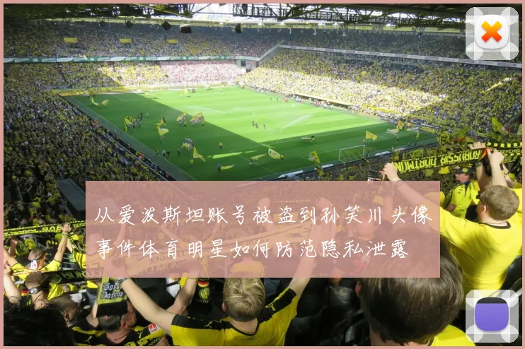 从爱泼斯坦账号被盗到孙笑川头像事件体育明星如何防范隐私泄露